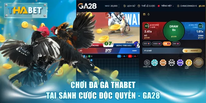 Chơi đá gà Thabet tại sảnh cược độc quyền - GA28