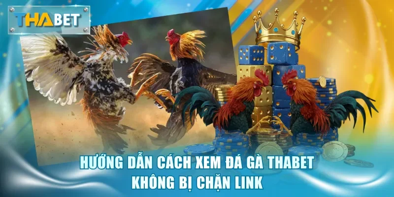 Hướng dẫn cách xem đá gà Thabet không bị chặn link