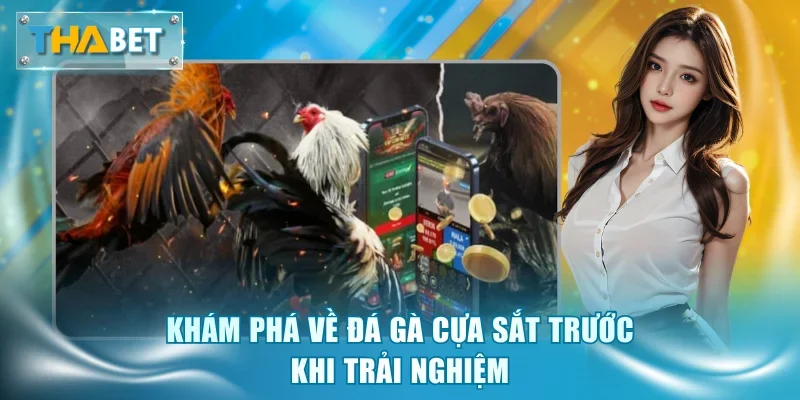 Khám phá về đá gà cựa sắt trước khi trải nghiệm