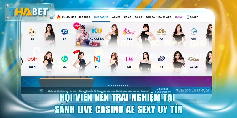 Nhà cung cấp AE Sexy nổi bật, uy tín