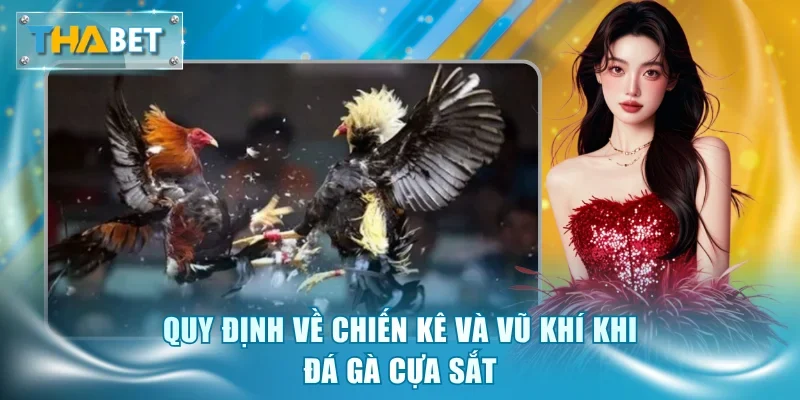 Quy định về chiến kê và vũ khí khi đá gà cựa sắt