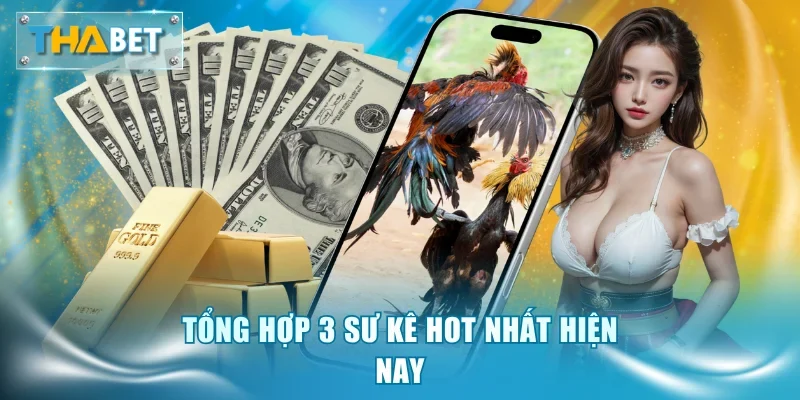 Tổng hợp 3 sư kê hot nhất hiện nay