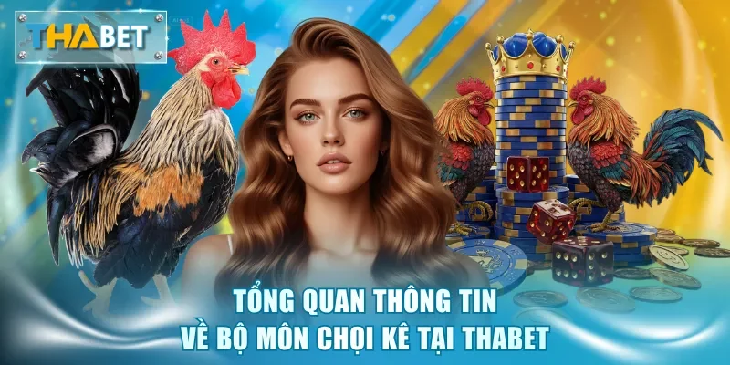 Tổng quan thông tin về bộ môn chọi kê tại Thabet