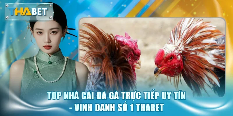 Top Nhà Cái Đá Gà Trực Tiếp Uy Tín